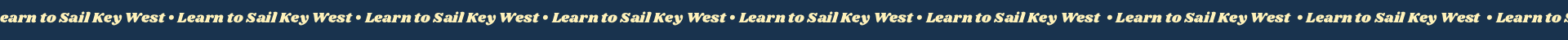 Solid dark blue rectangle with small text at the bottom.
