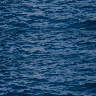 Close-up of dark blue ocean waves under overcast sky.